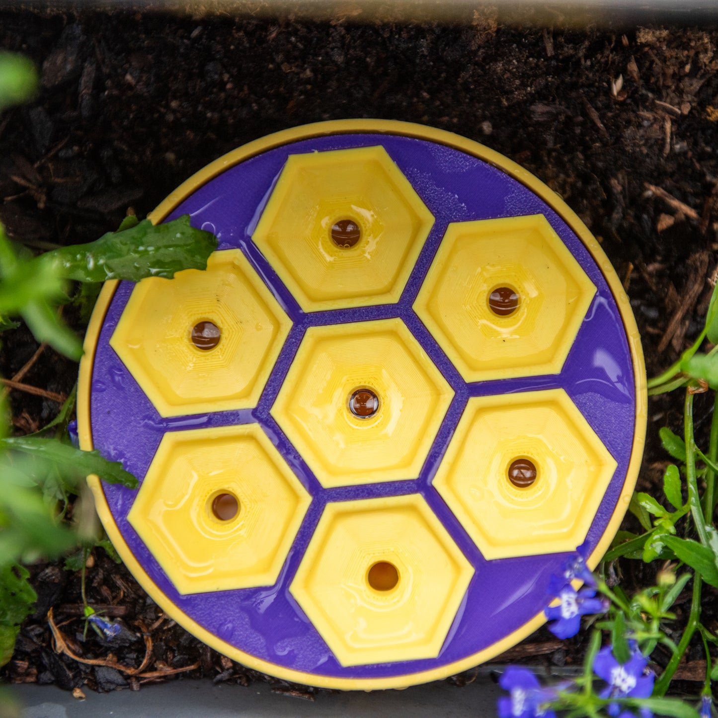 Bee Bath