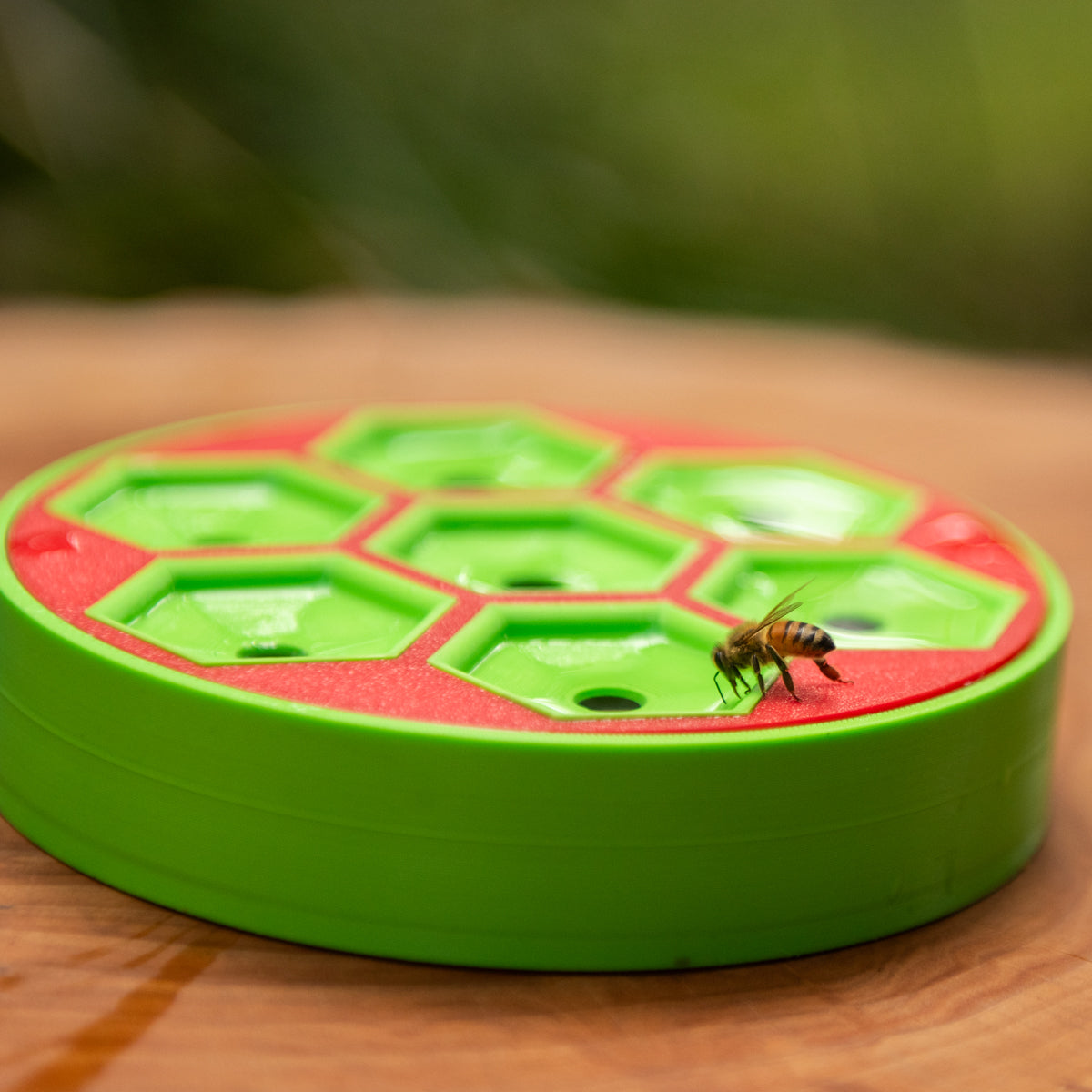 Bee Bath
