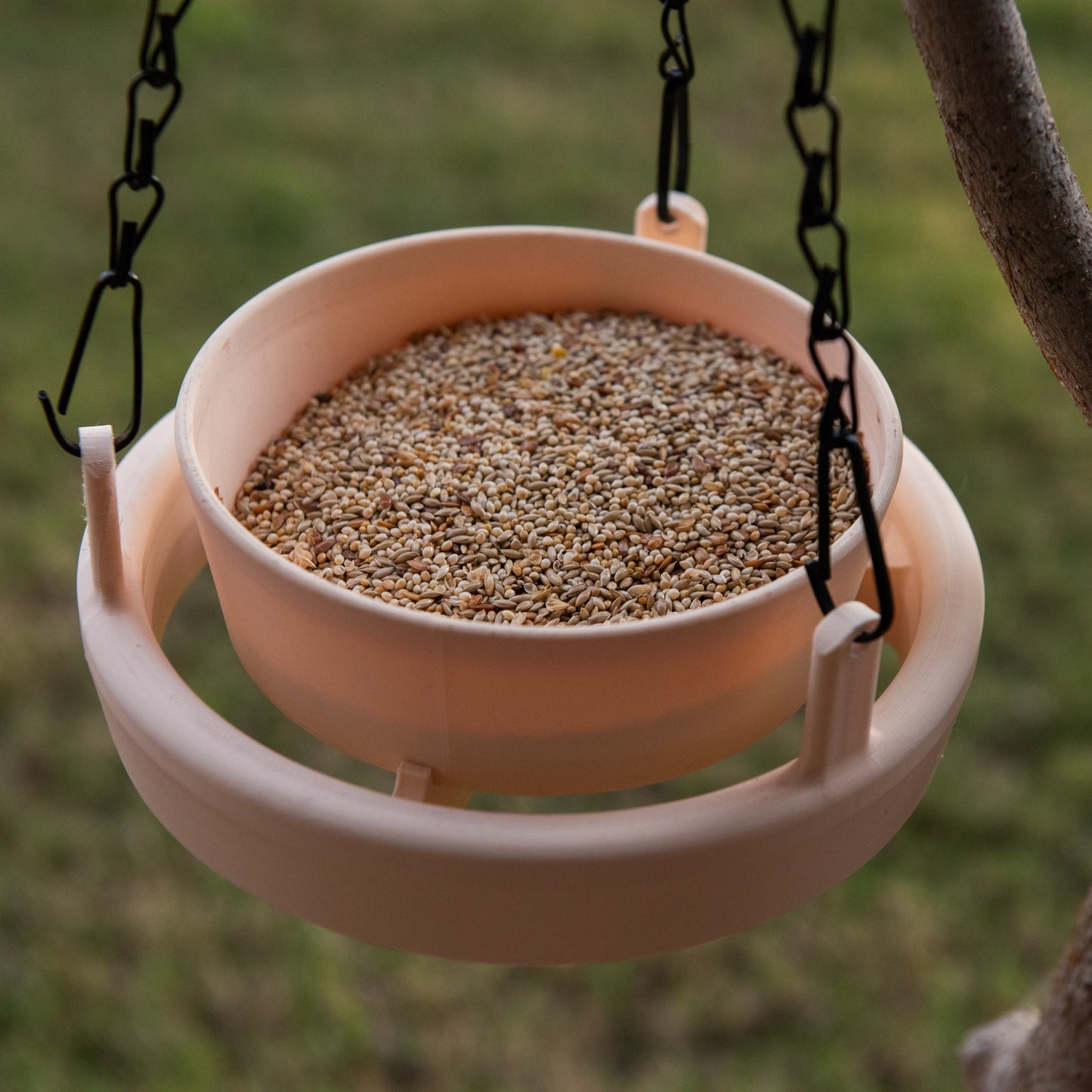 Cream Bird Feeder Lite shown from the front with chain attached