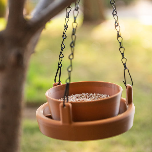 Bird Feeder Lite hanging from a tree branch in a backyard