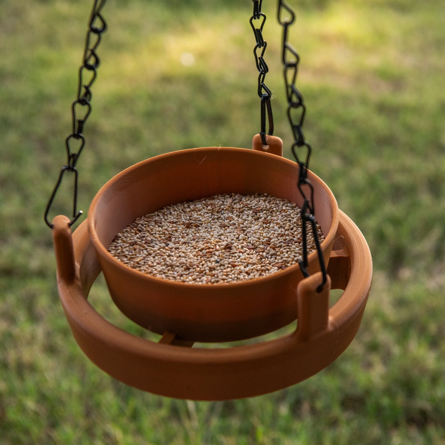 Terracotta Bird Feeder Lite full of seed, ready for birds