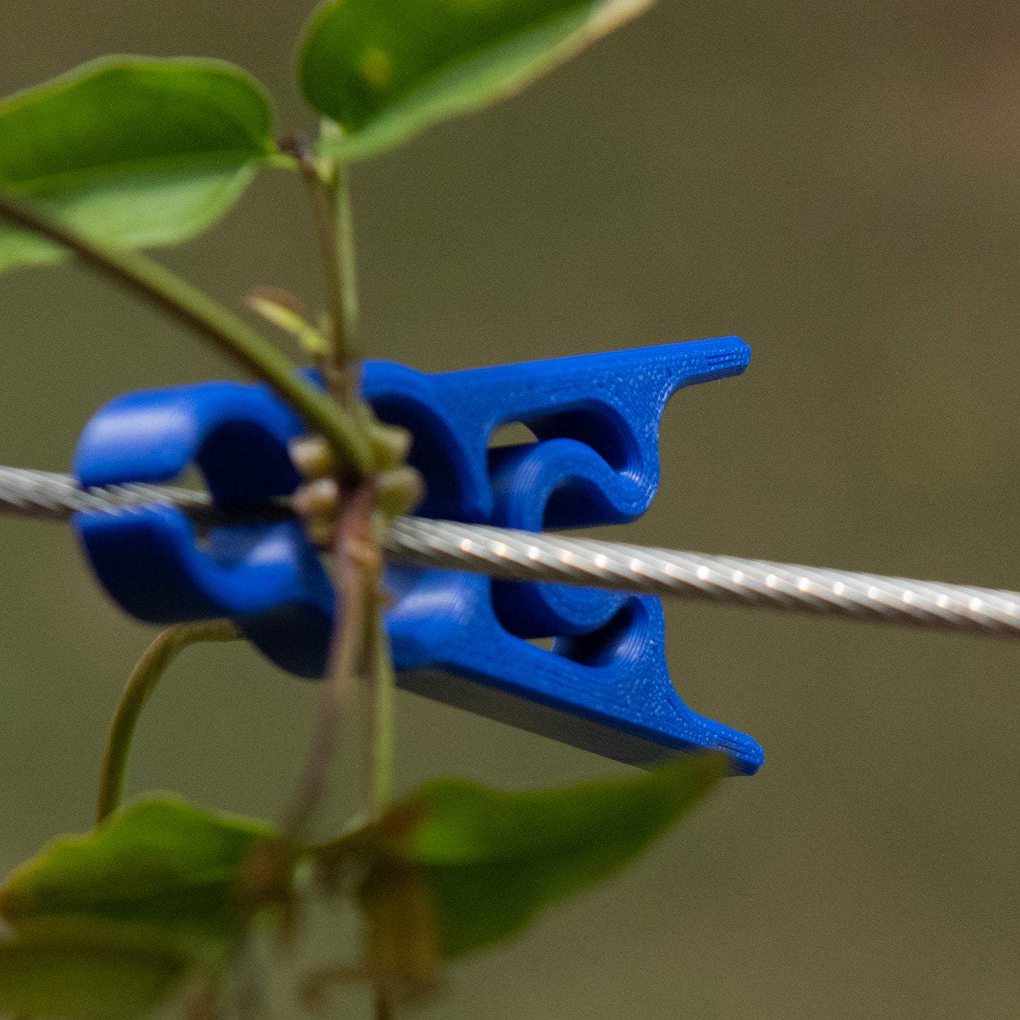 Blue garden clip holding a plant stem securely to garden wire
