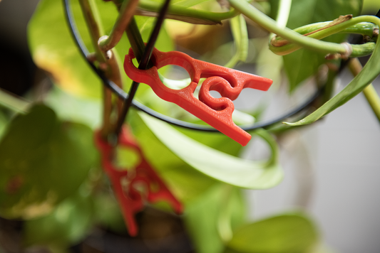 The Garden Essential You Didn't Know You Needed: Vegetable Clips for Climbing Plants