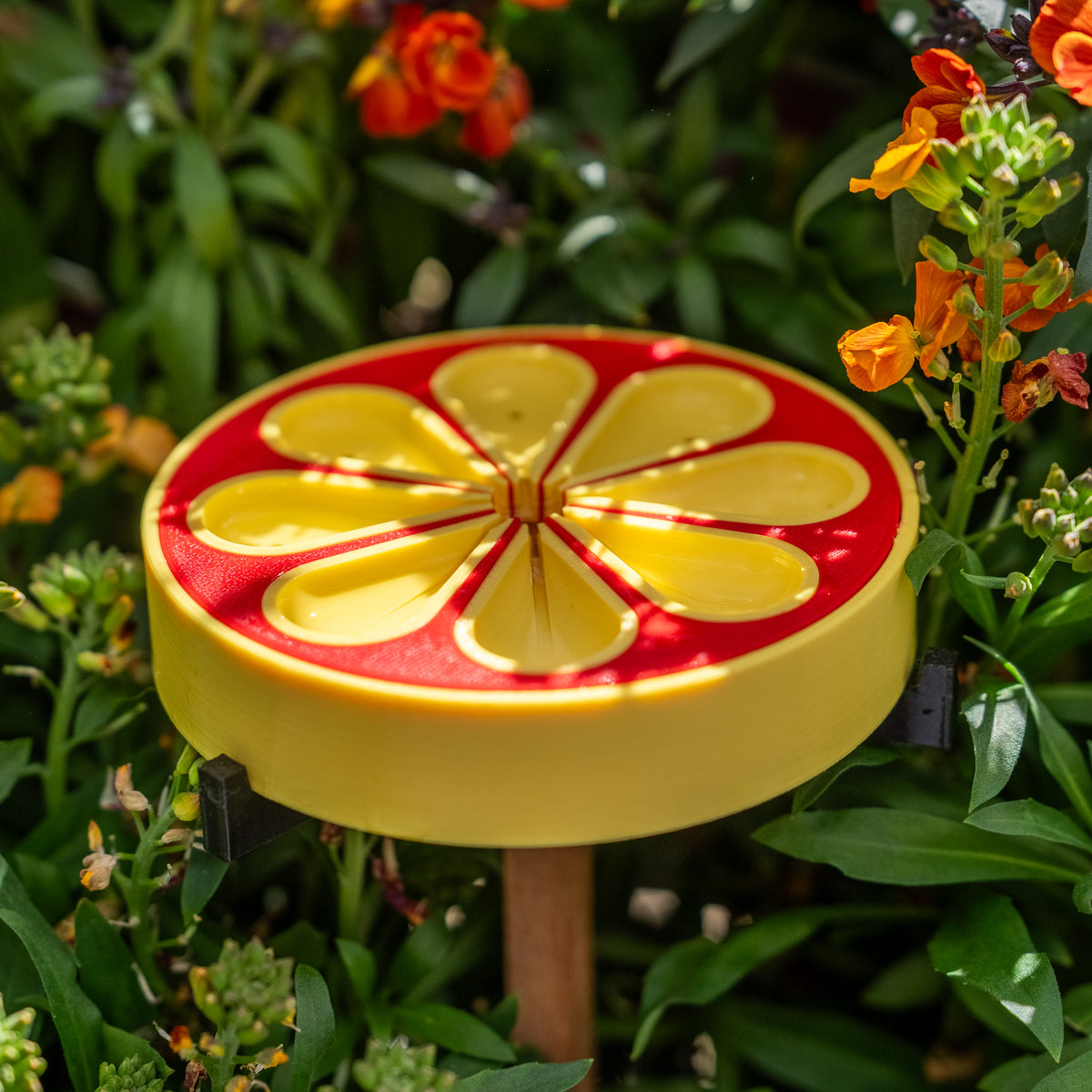 Petal Bee Bath
