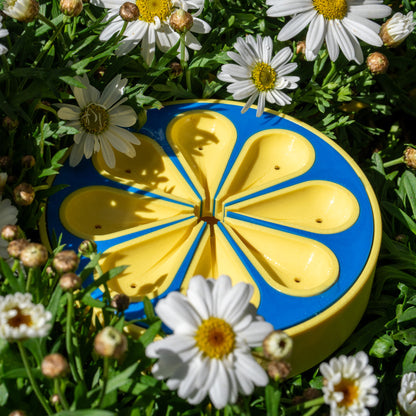 Petal Bee Bath