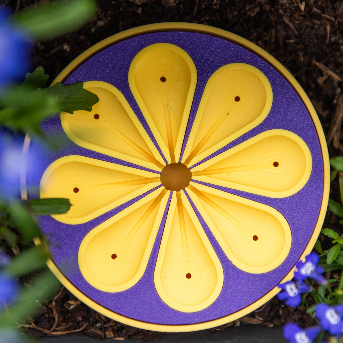 Petal Bee Bath