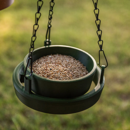 Bird Feeder Lite with seed, suspended mid-air