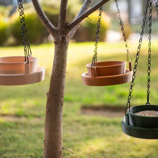 Three Bird Feeder Lite colours: cream, terracotta, and forest green