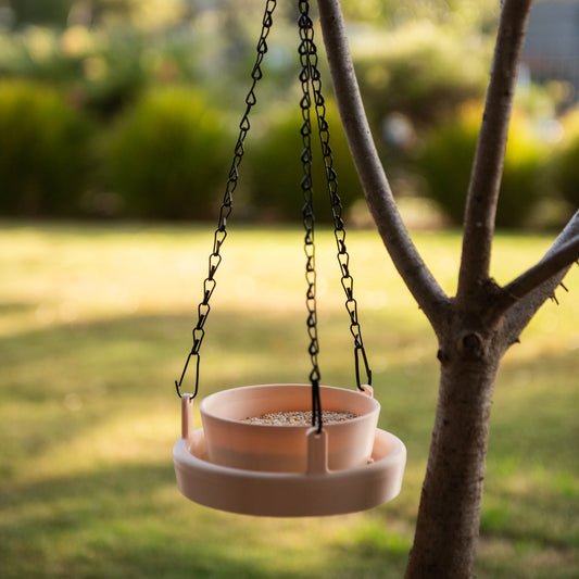 Cream Bird Feeder Lite hanging from a tree branch with bird seed inside, captured in soft afternoon light