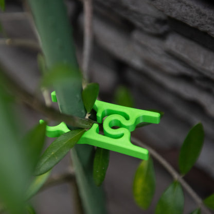 Green plant clip securing a stem against a stone wall backdrop