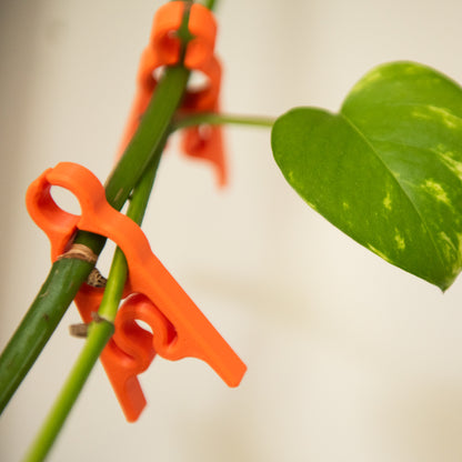 Closeup of orange garden clip holding a vine against a pale background